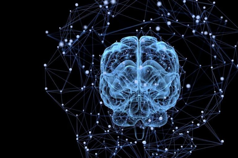AI Neural Networks Learning Journey 